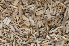 biomass boilers Penpillick